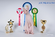 Международная двухсистемная (WCF+MFA) выставка  5-6 декабря 2015 г. Ульяновск Россия